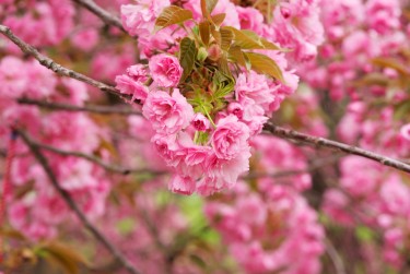 常州金坛区2线下个人借款平台一站式服务，轻松解决资金难题