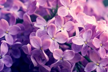 常州金坛区2企业急用钱贷款攻略：快速融资解燃眉之急